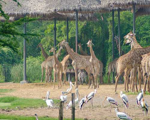 中山大学附属第六医院做试管婴儿找生殖中心的哪位医生才有希望? 助孕包性别