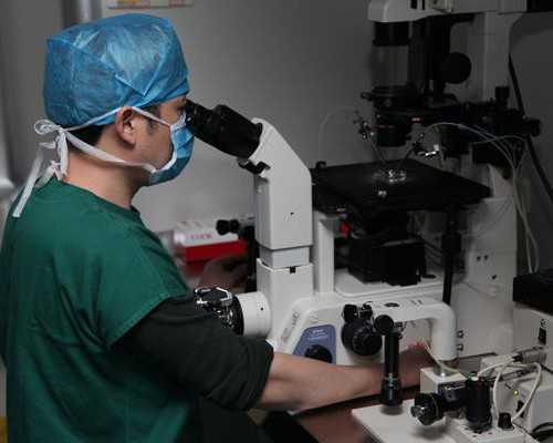 移植几次都生化了！移植两次都生化了！