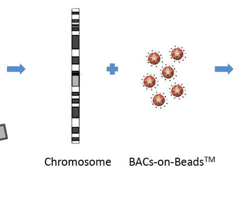 常州生殖医院私立比较好医院网上咨询方式,有几家可以做三代?