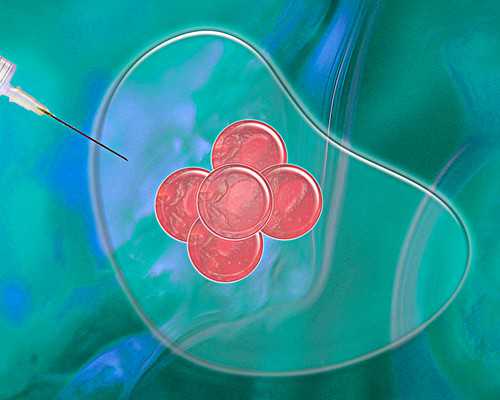 沧州三代试管婴儿费用大概要多少钱?附试管条件一览