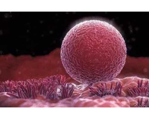 厦门我想做试管婴儿生一个孩子多少钱？ 正规的代孕服务有哪些