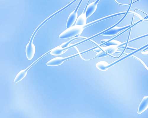 做试管对卵巢要求高么医生 做试管对卵巢要求高么医生说不用管