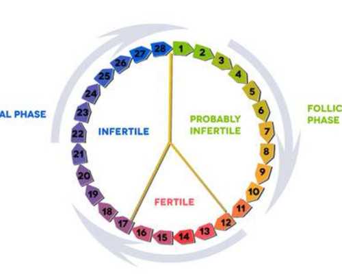 高龄做试管成功案例影响试管成功的疾病有哪几种 试管代孕双胞胎成功率