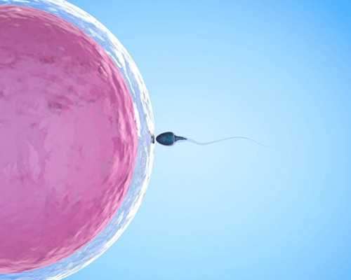 三代试管供卵,泰国隆胸价格多少钱