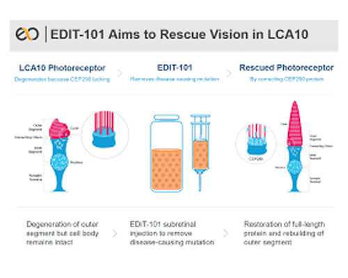 如何进行宫腔镜检查?宫颈活检结果是慢性炎严重吗 代孕机构哪里找