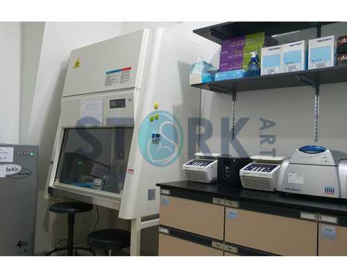 怎样去泰国做试管婴儿！千万别当真！ 代孕公司哪里有