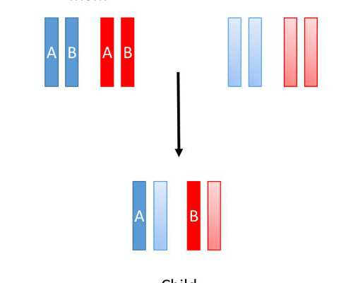 供卵代生流程,{日本做试管}日本的试管婴儿成功率高吗