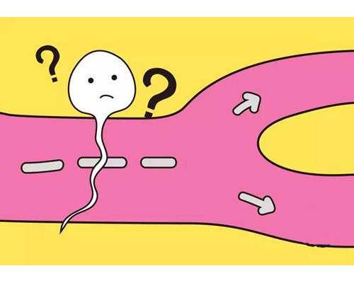 2026年运城做试管婴儿第三代费用总共多少?4万元够吗?