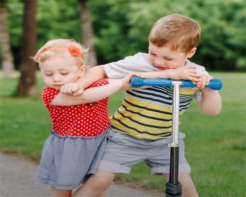 试管婴儿囊胚移植成功率明显高于第三天胚胎 有供卵助孕的医院吗